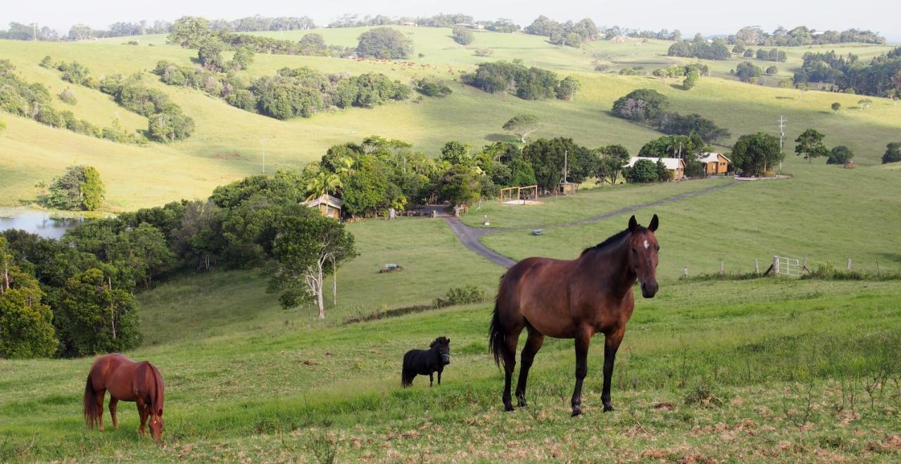 Byron Bay Farm Cottages Exterior photo