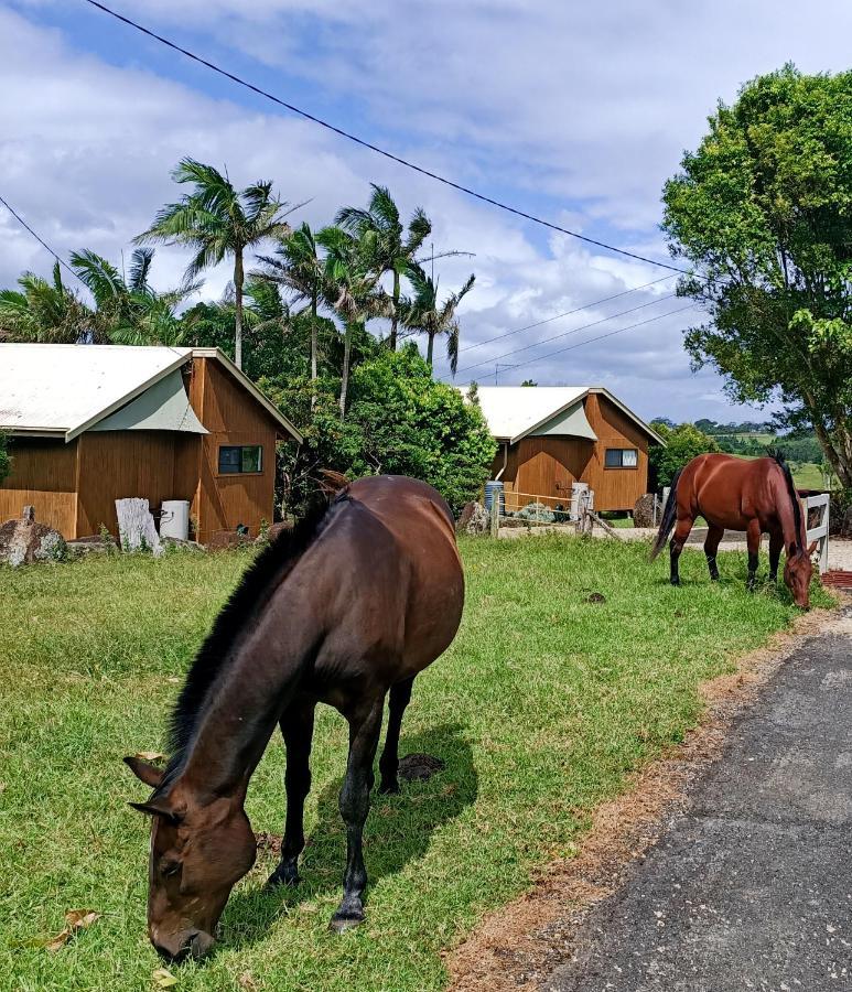 Byron Bay Farm Cottages Exterior photo