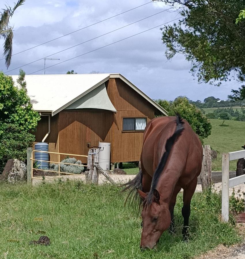 Byron Bay Farm Cottages Exterior photo